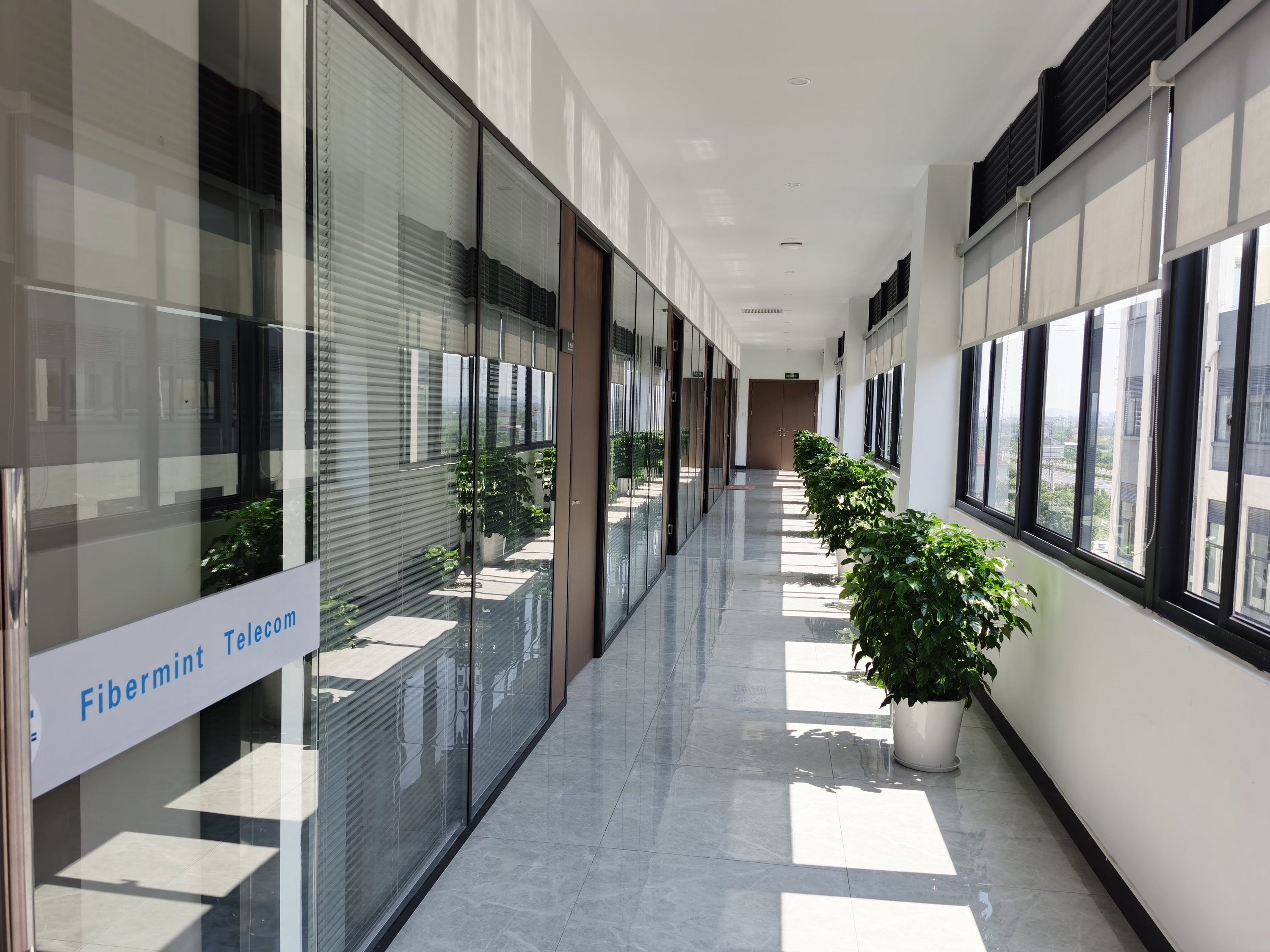 Fibermint Office Corridor